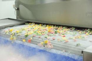 日韩速冻技术怎么样啊视频,揭秘高效食品保鲜奥秘