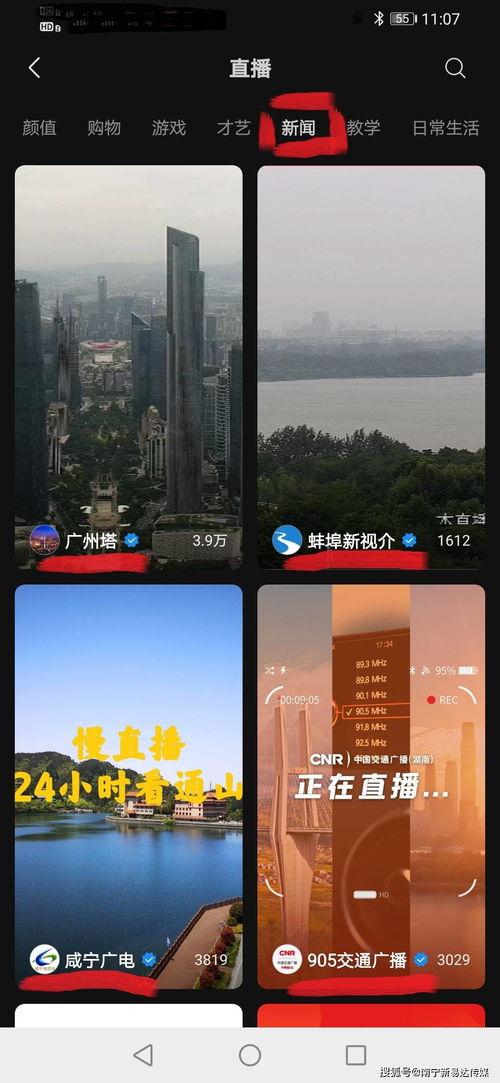 视频一区,探寻未知领域的精彩瞬间