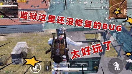无码炮在线,探索网络世界的无限可能
